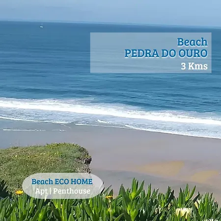 住宿加早餐酒店 Eco Penthouse *