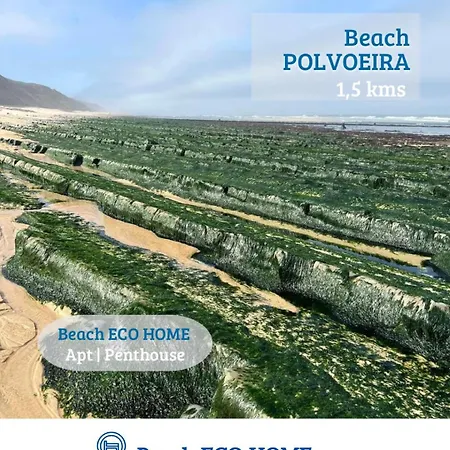 Bed & Breakfast Eco Penthouse