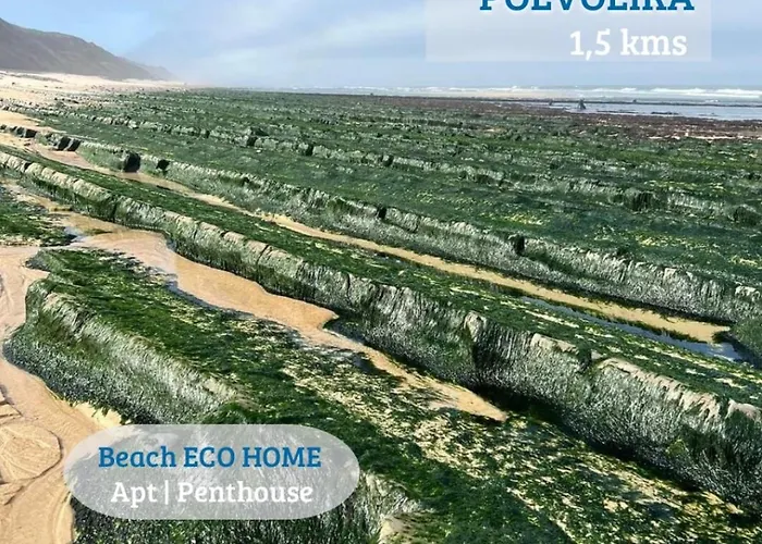 Bed and Breakfast Eco Penthouse